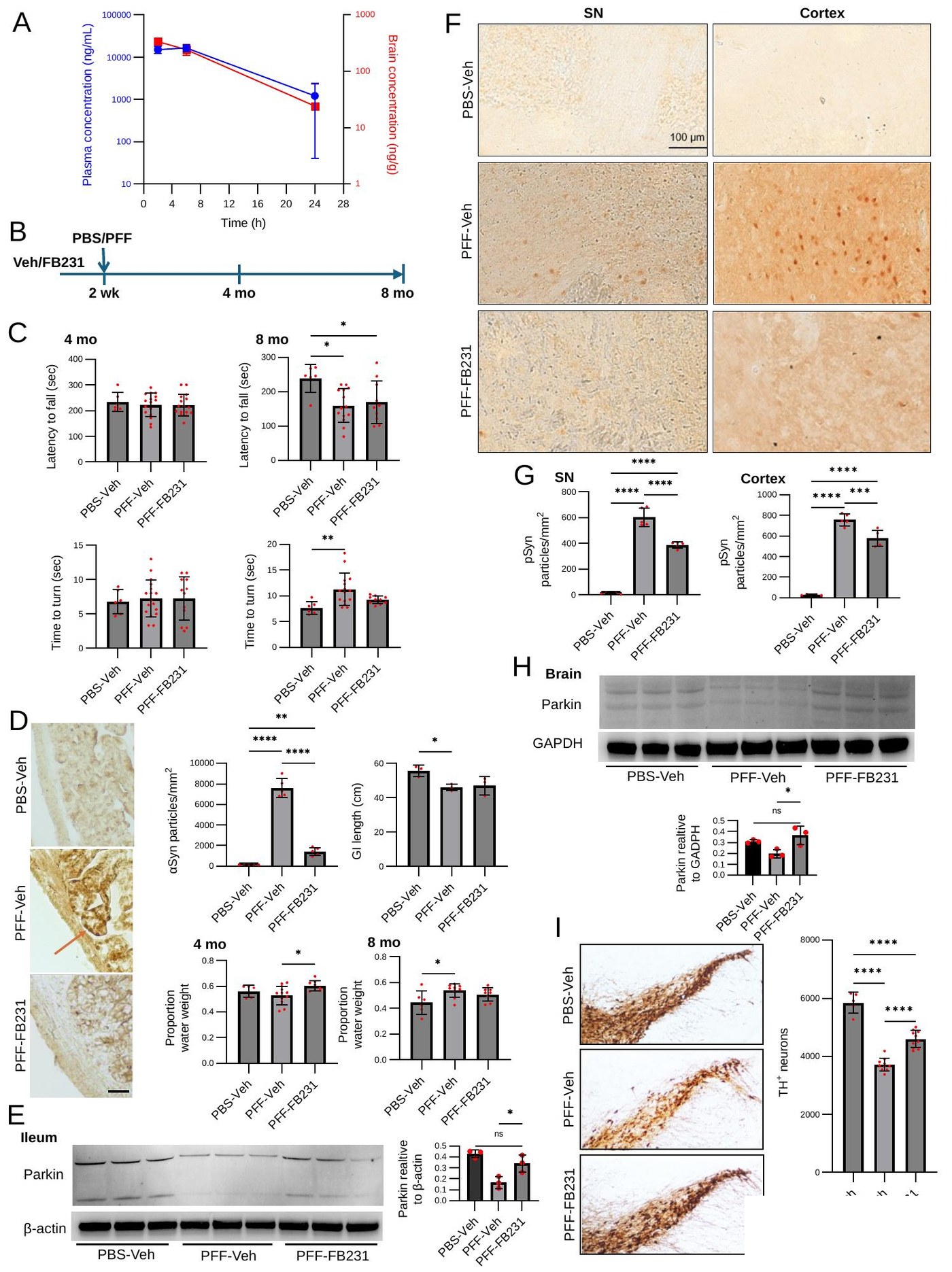 Figure 3 - FB231 in a gut alpha-synuclein PFF mouse model