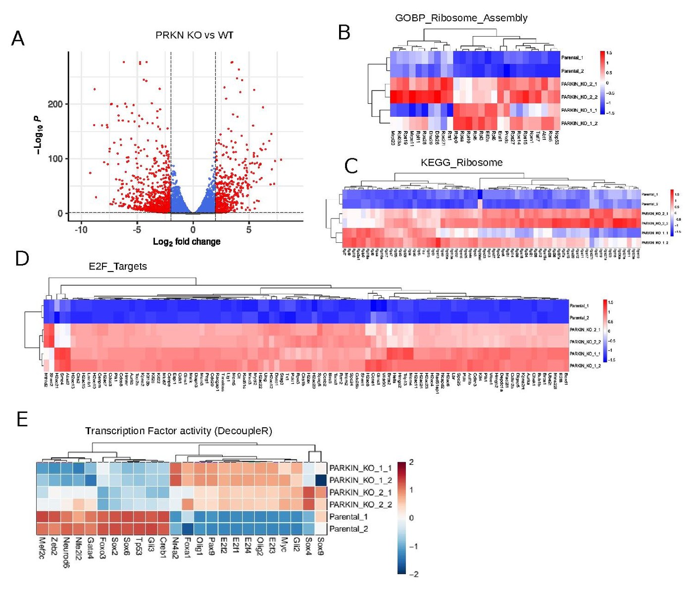 Supplementary Figure 2 - Volcano plot, GSEA heatmaps, DecoupleR TF activity